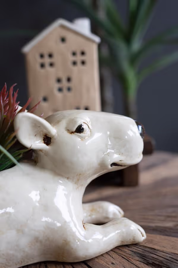 Ceramic Bull Terrier Planter