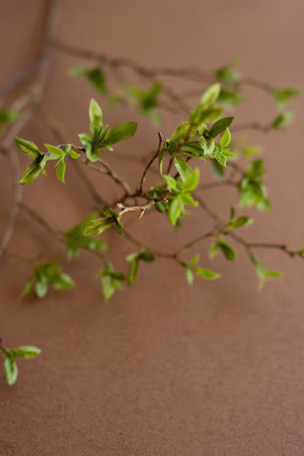 Artificial Budding Leaf Spray