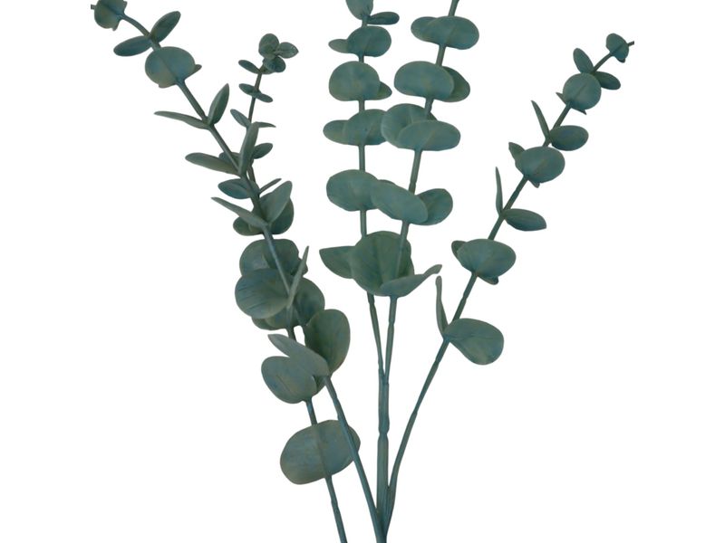 29IN EUCALYPTUS SPRAY X 5 3