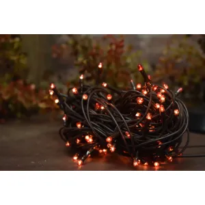 Amber 100 Bulb Primitive Rice String Light 19.5 ft Green Cord - Steady On 1