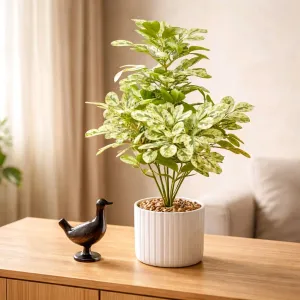 Fesh Gathered Greens Pot 19in 1