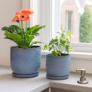 FIONAOAK SET OF 2 PLANTER 7 (IN) 11
