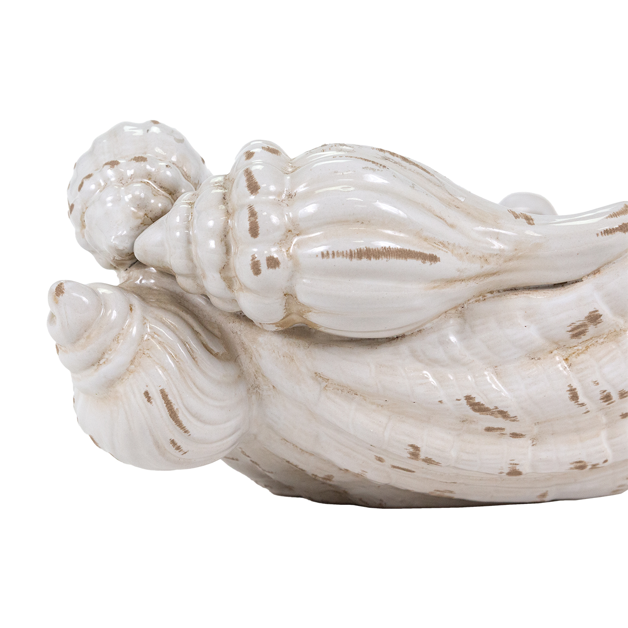 Giant Clamshell Bowl 7