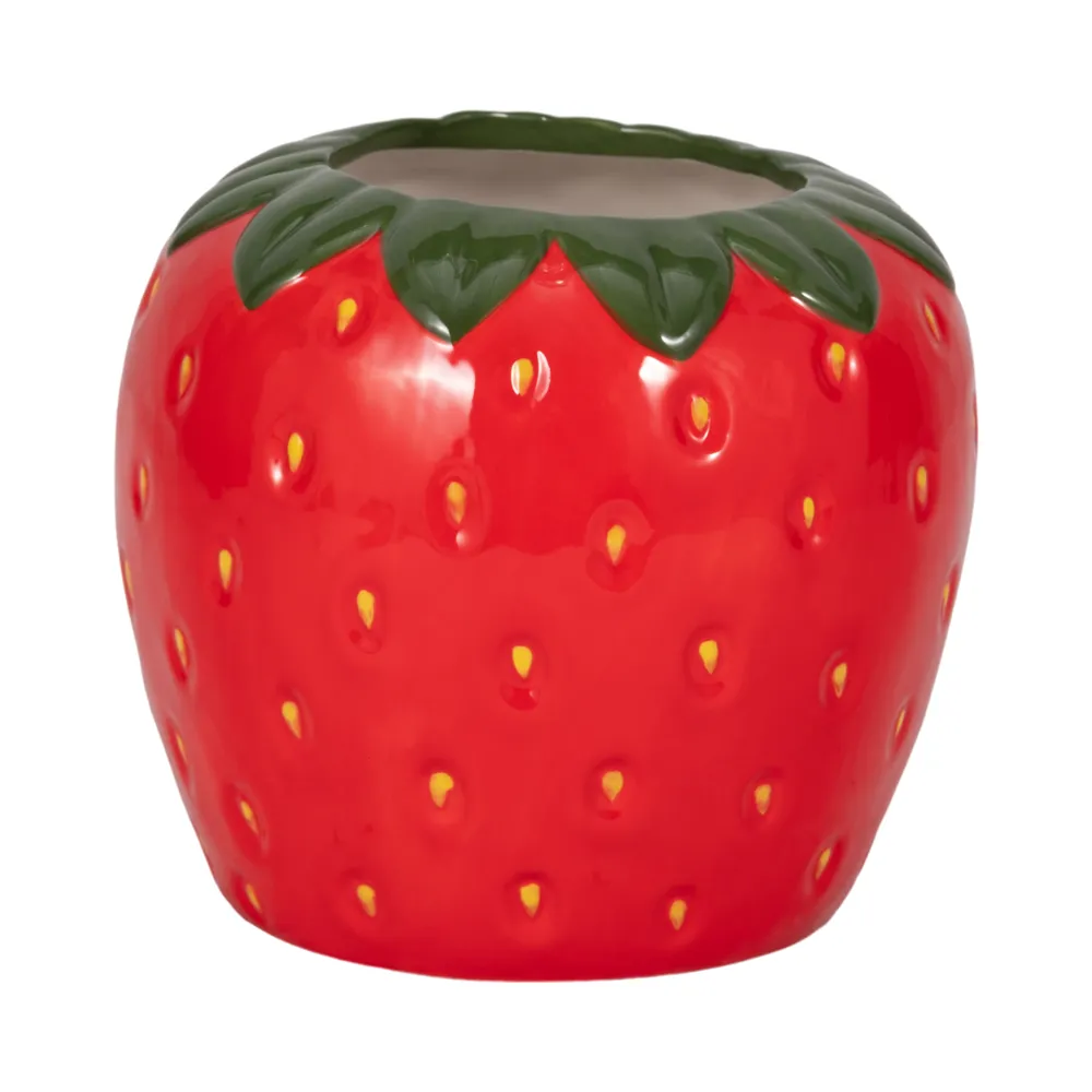 FINCHMOOR RED PLANTER 6 (IN)