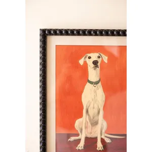 Set of 4 Framed Hound Prints under Glass 5