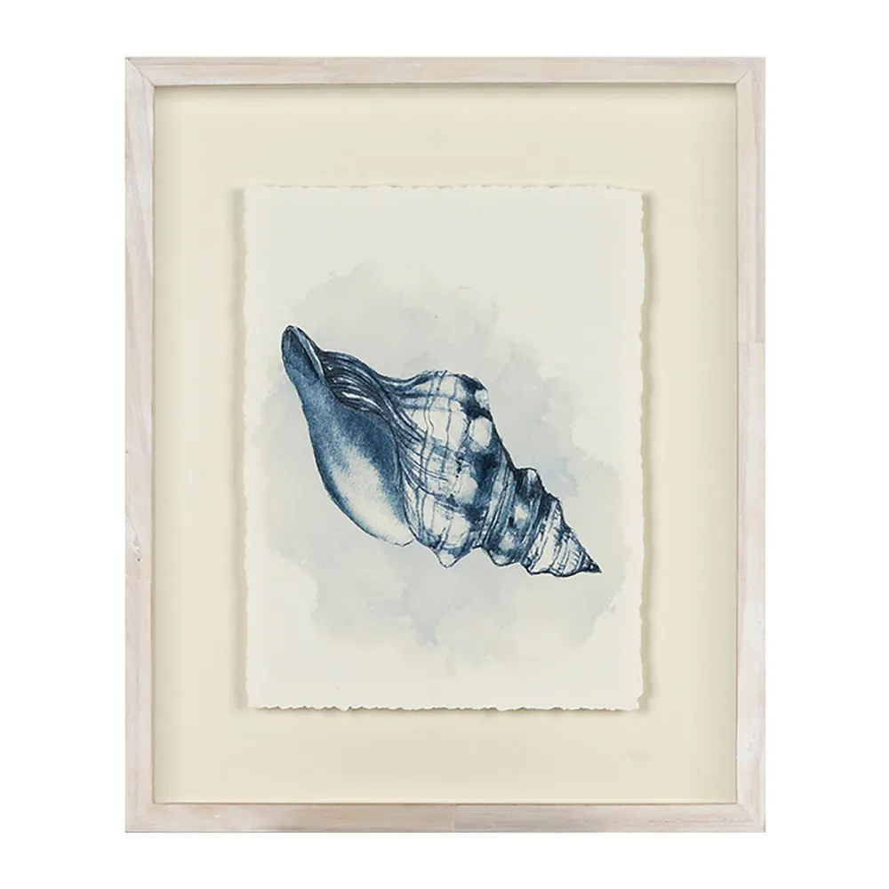 19-1/2" SEASHELL FRAMED ART