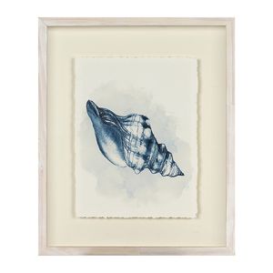 19-1/2" SEASHELL FRAMED ART 1
