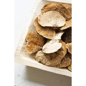 Bag of 48 Dried Sponge Mushrooms 3