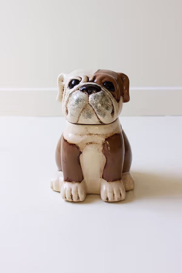 Ceramic Bulldog Canister