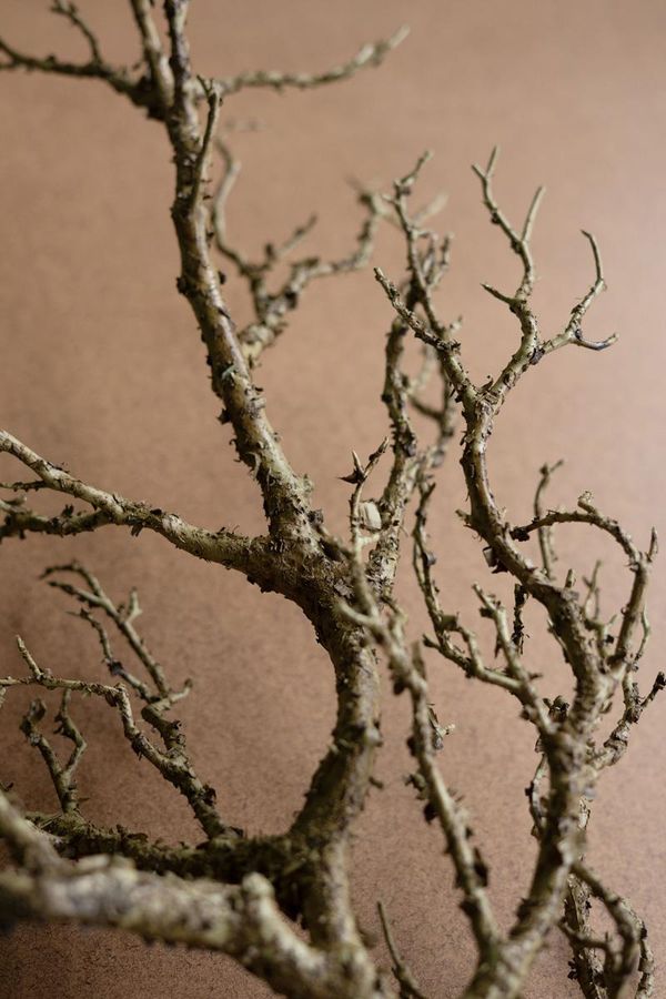 Artificial Dead Wood Branch