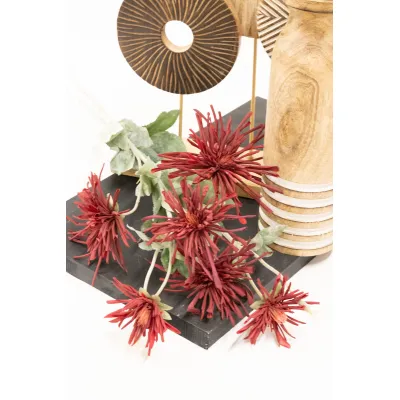 Red Spider Mums 29in