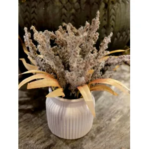 Willow Haze Pot 10in 2