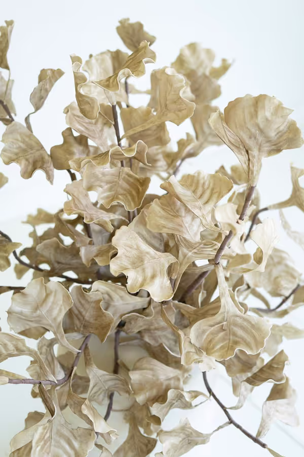 Botanica #3558