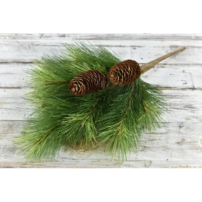 Mountain Pine Pick