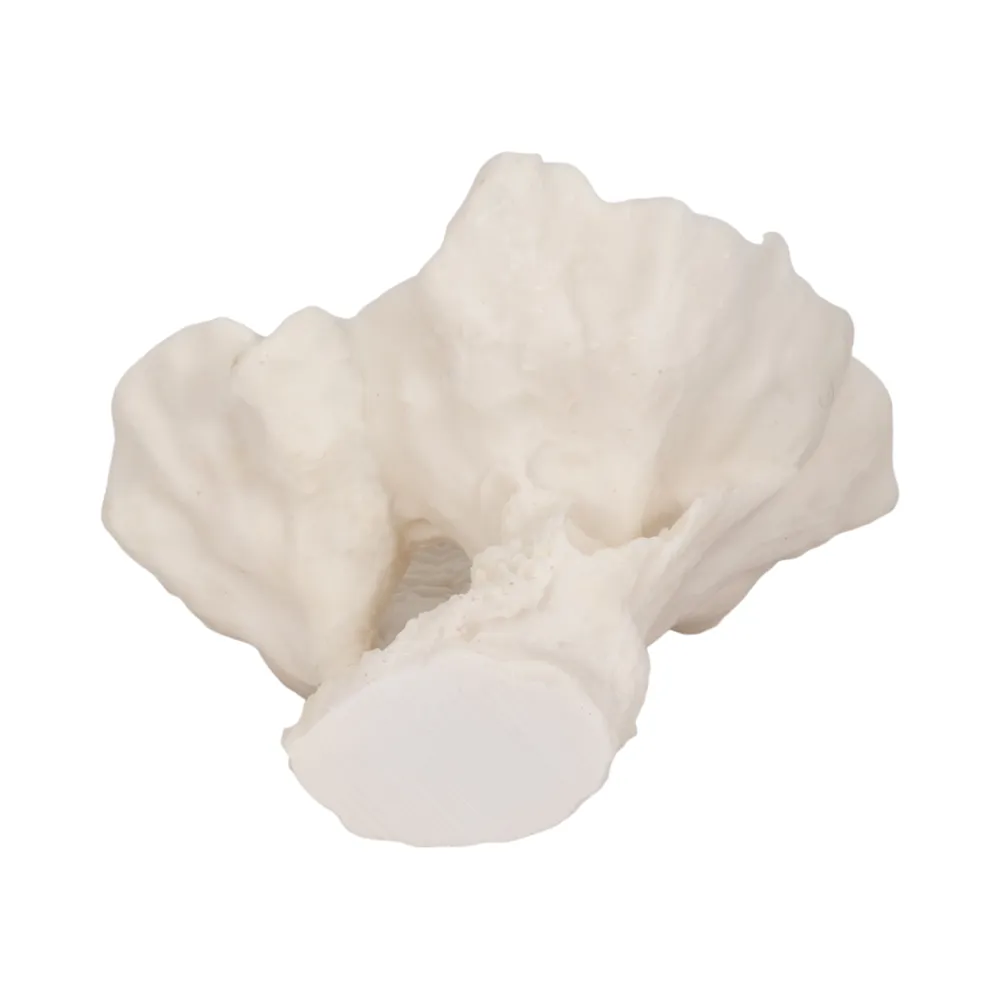 BRENDANSHAW IVORY DECOR 12 (IN)