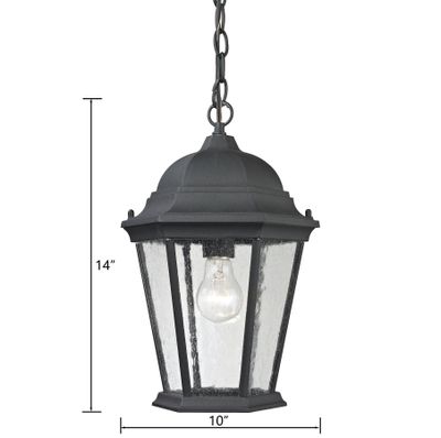 Temple Hill 10'' Wide 1-Light Outdoor Pendant - Matte Textured Black