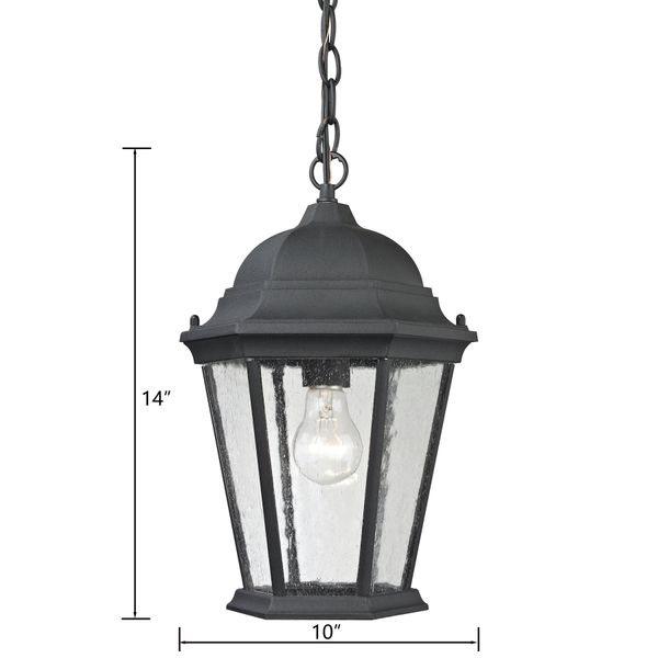 Temple Hill 10'' Wide 1-Light Outdoor Pendant - Matte Textured Black