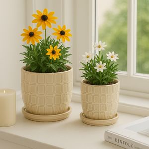 LEONAHAM SET OF 2 IVORY PLANTER 7 (IN) 11