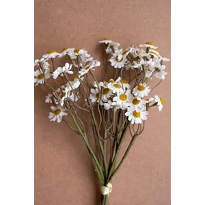 Faux Chamomile Bundle / White 2