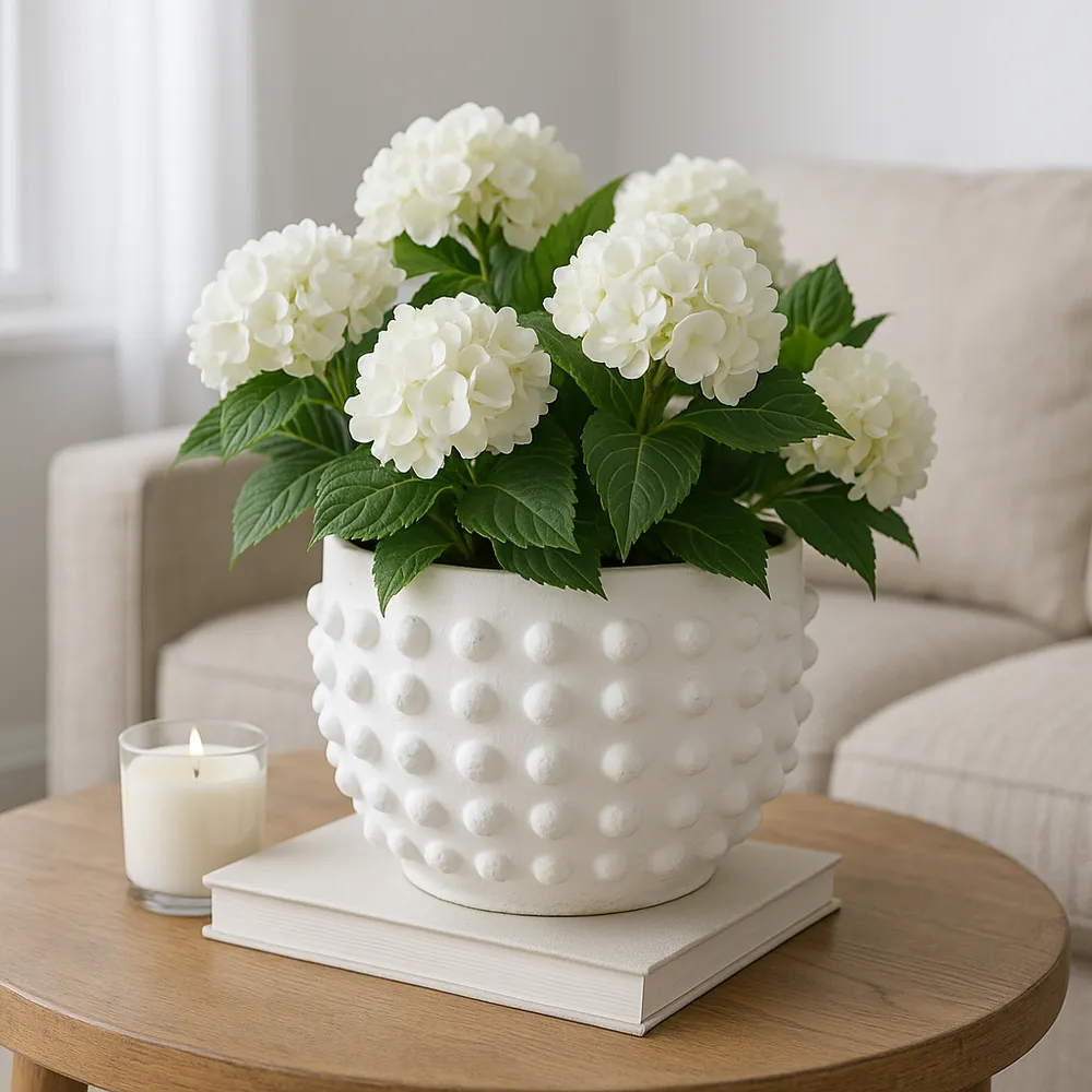 JUNELAKE WHITE PLANTER 6 (IN)