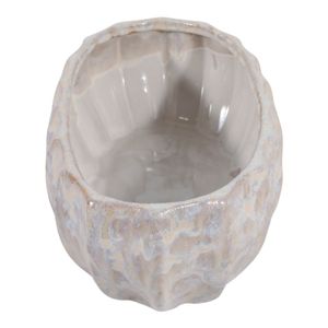 COLTONVIEW IVORY BOWL 5 (IN) 7