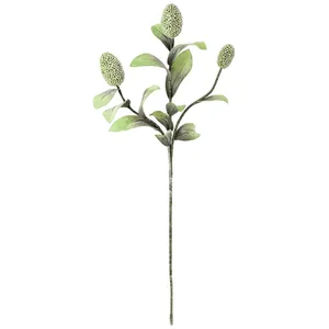Botanica #2065 1