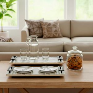 COREYGROVE SET OF 2 BLACK TRAY 3 (IN) 12