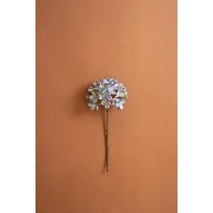 Botanica #2907 1