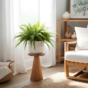 FALLONRUN IVORY PLANTER 5 (IN) 2