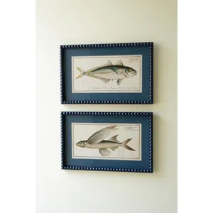 Set of 2 Navy Framed Fish Prints under Glass 3