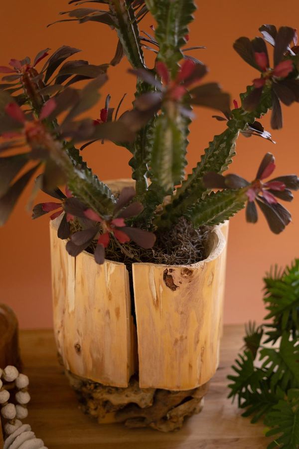 Recycled Fir Wood Vessel on a Mulberry Root Base