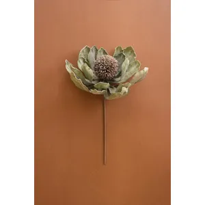 Botanica #3689 1