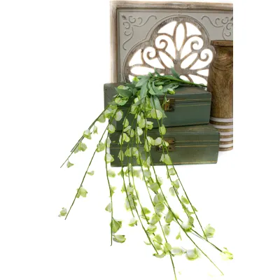 Green Hanging Wisteria 4ft