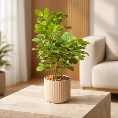 Greenhouse Glow Pot 19in