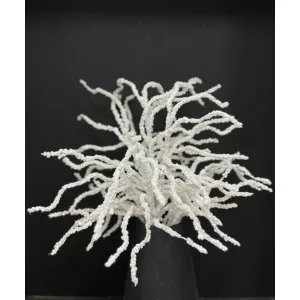 White Coral Christmas Spray 30in 1