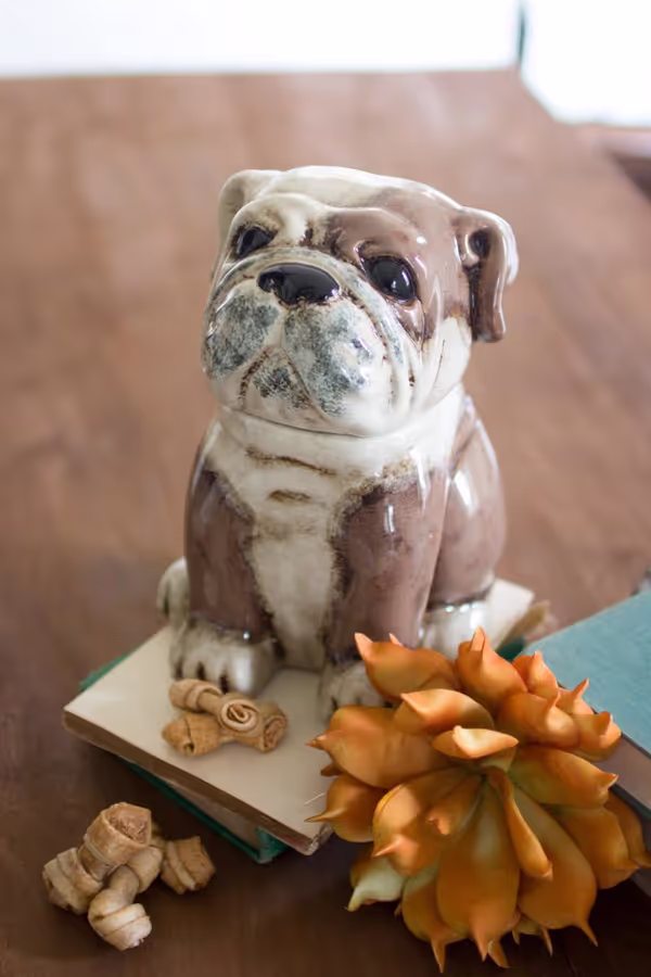 Ceramic Bulldog Canister