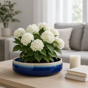 HANLEYPORT BLUE PLANTER 4 (IN) 9