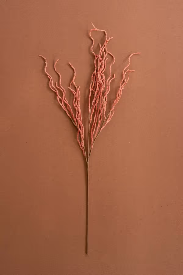 botanica #9008