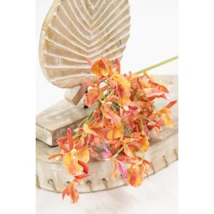 Orange Miniature Cymbidium 32in 1