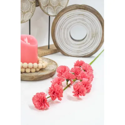 Peach Carnation 26in