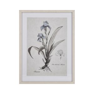 Stems I Framed Wall Art - Cream 1
