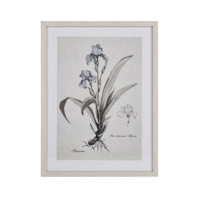 Stems I Framed Wall Art - Cream
