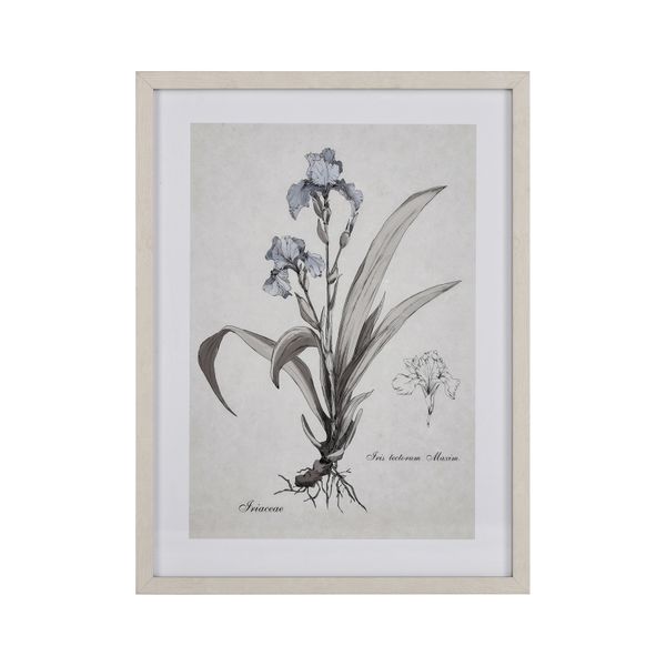 Stems I Framed Wall Art - Cream