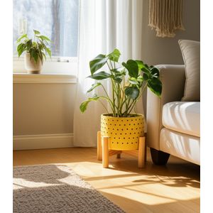 COLECREST YELLOW PLANTER 9 (IN) 2