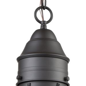 Onion 10'' Wide 1-Light Outdoor Pendant - Oil Rubbed Bronze 3