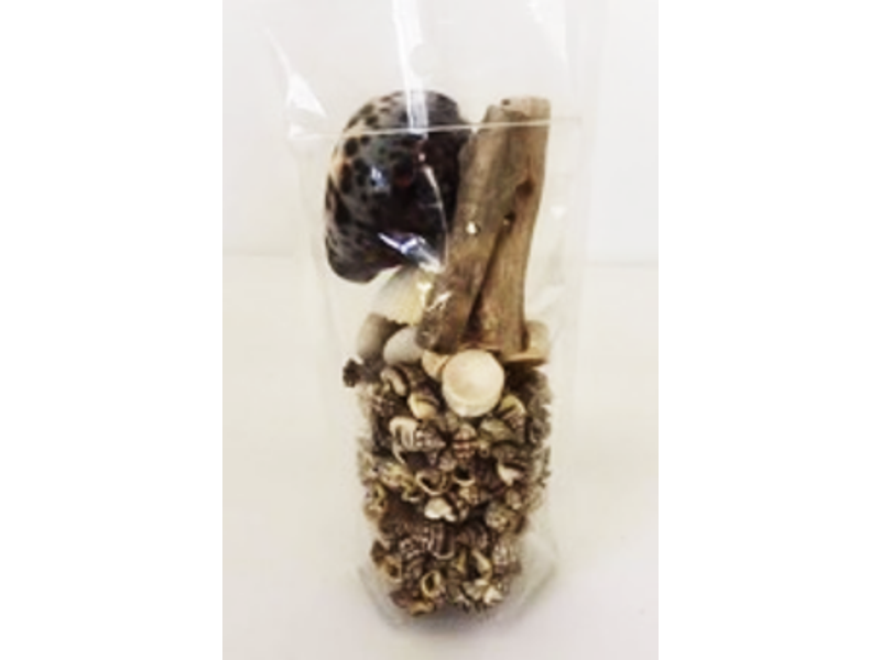 Assorted Beach Themed Filler, Brown & White 1