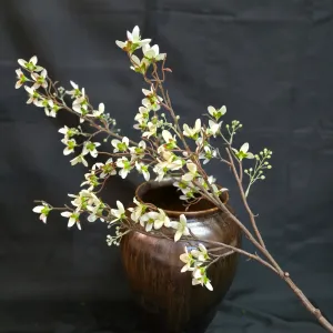 Japanese Cherry Blossom 2