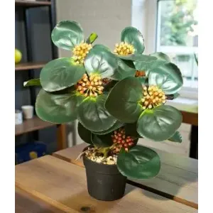 Coral Dawn Pot 13in 2