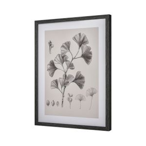 Foliage II Framed Wall Art - Ivory 2
