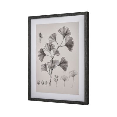 Foliage II Framed Wall Art - Ivory